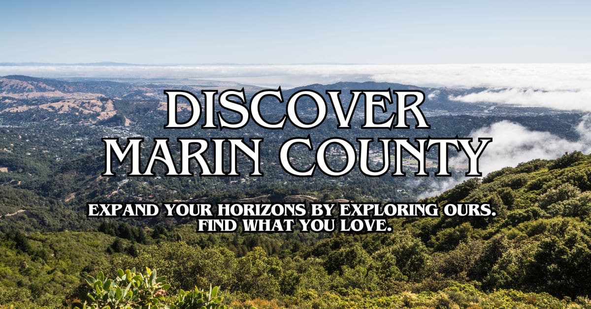 Best Foundation Contracting Services In Marin County Top Local Picks