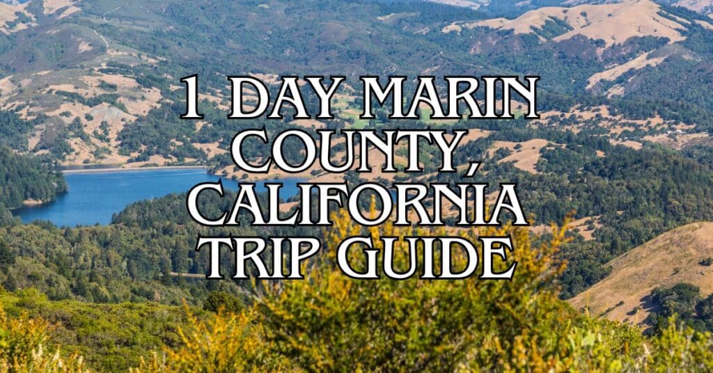 1 Day Marin County California Trip Guide