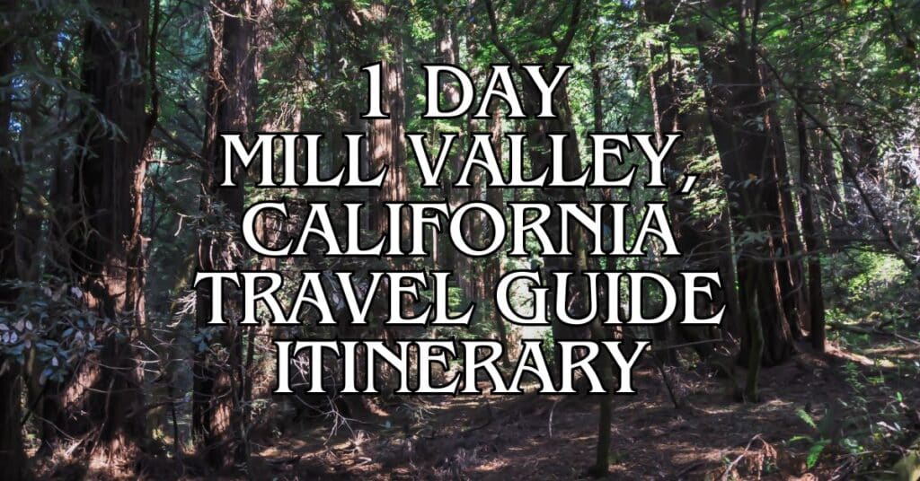 1 Day Mill Valley, California Travel Guide Itinerary