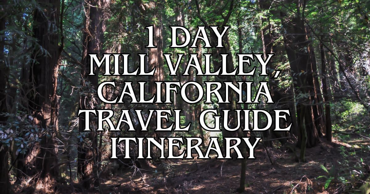 1 Day Mill Valley, California Travel Guide Itinerary