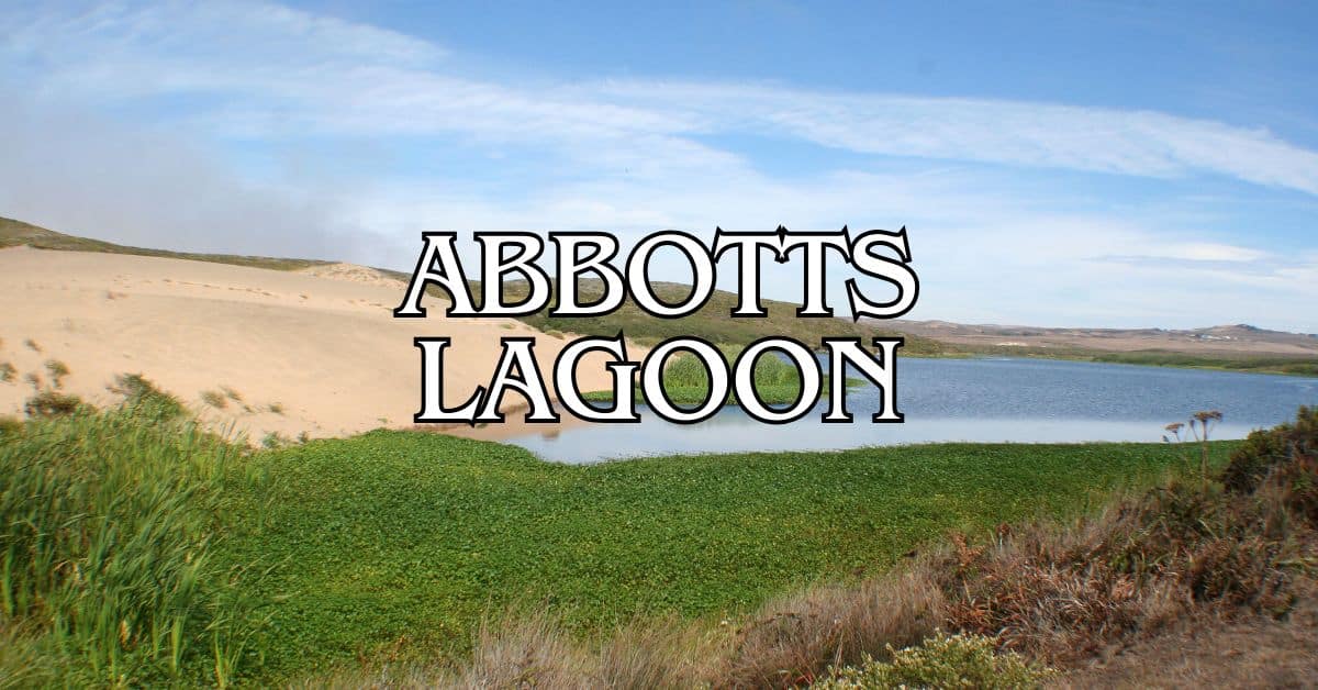 Abbotts Lagoon