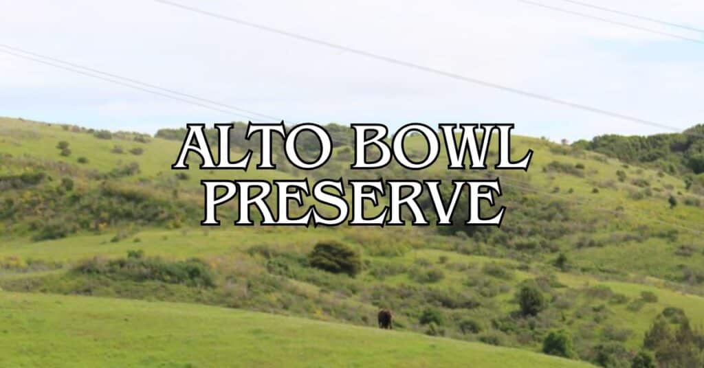 Alto Bowl Preserve