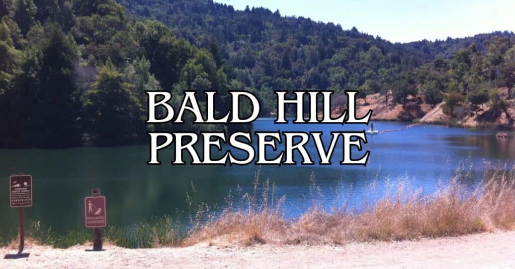 Bald Hill Preserve