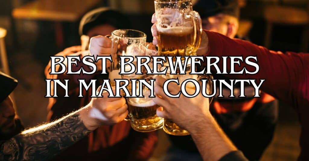 Best Breweries in Marin County