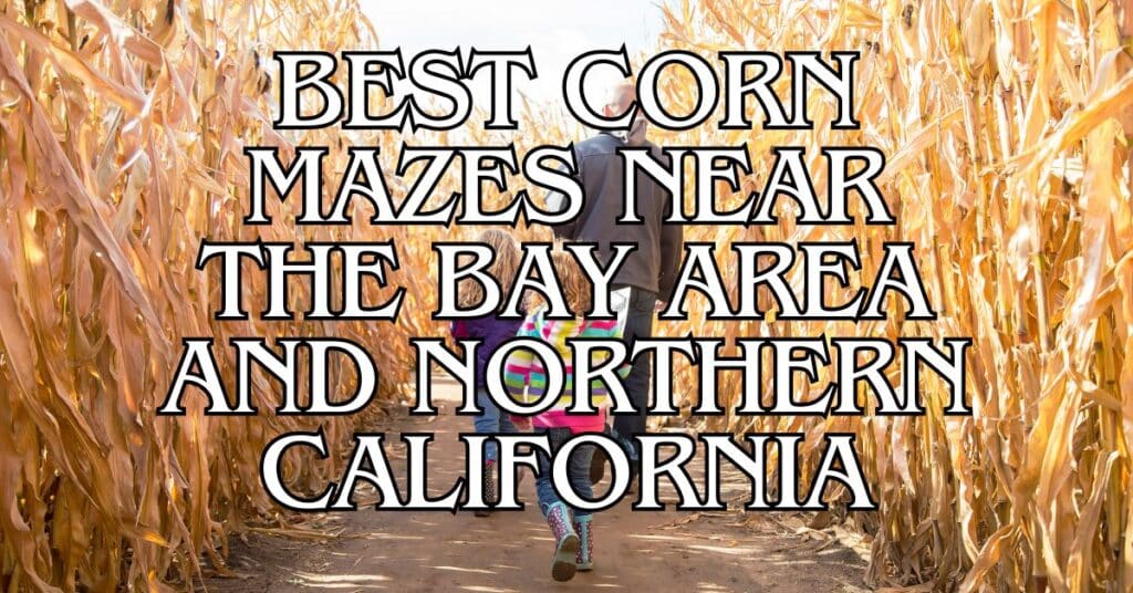 Best Corn Mazes Near the Bay Area and Northern California