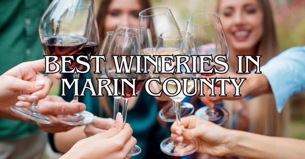 Best Wineries in Marin County