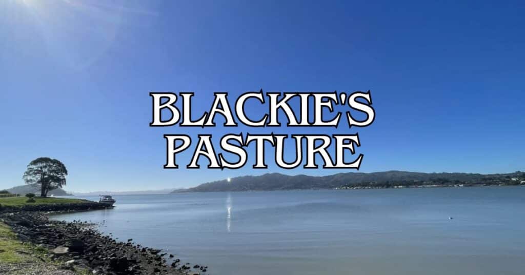 Blackie's Pasture