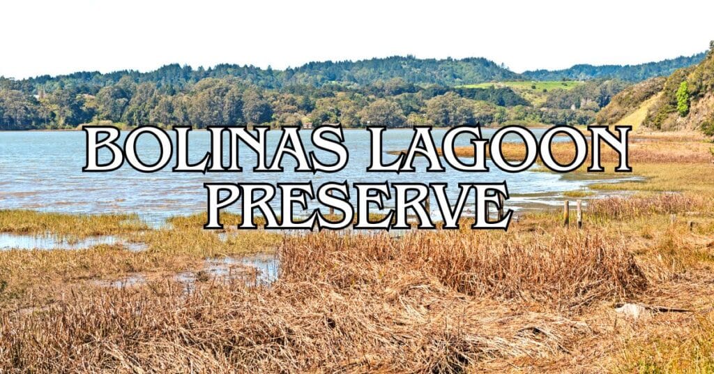 Bolinas Lagoon Preserve