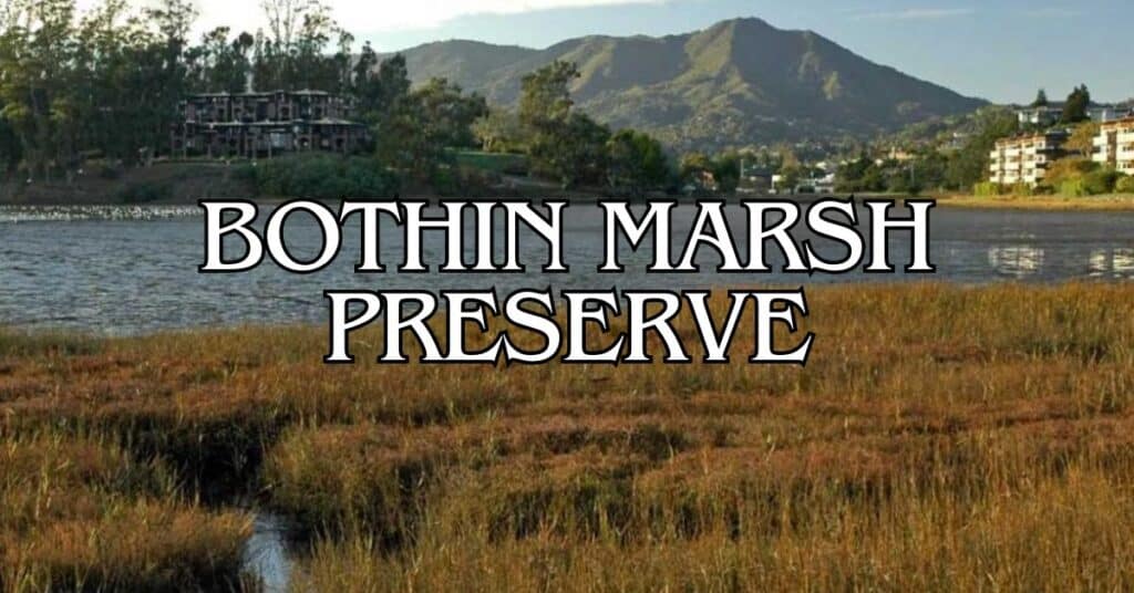 Bothin Marsh Preserve