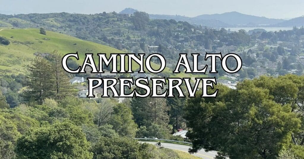 Camino Alto Preserve