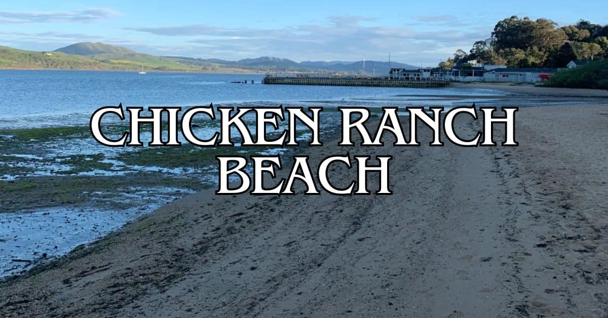 Chicken Ranch Beach