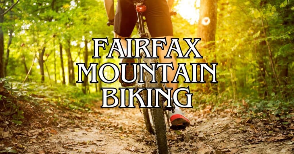 Fairfax Mountain Biking