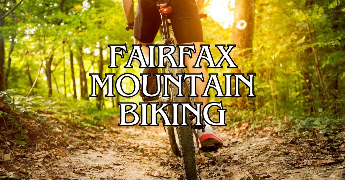 Fairfax Mountain Biking