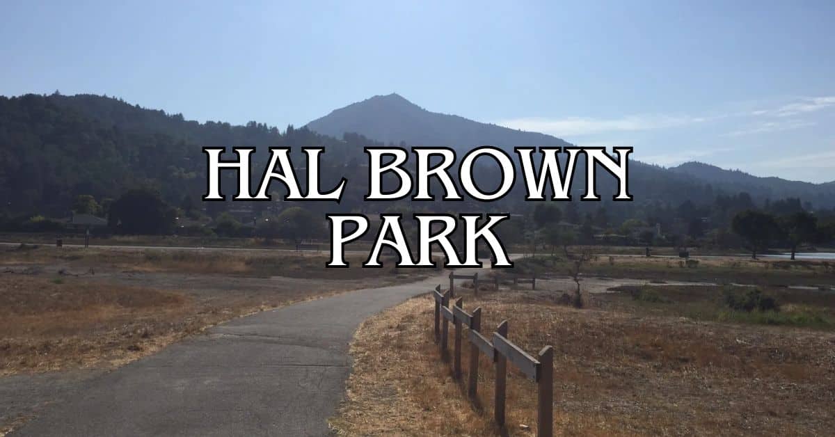 Hal Brown Park