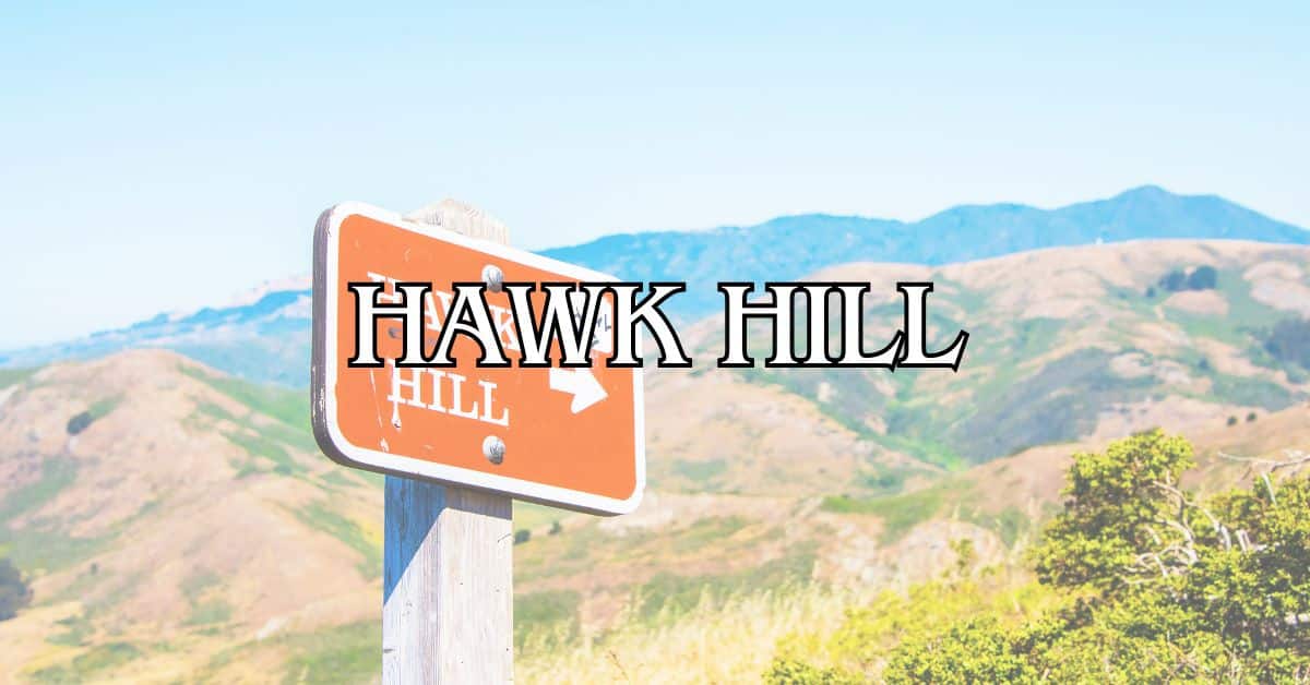 Hawk Hill