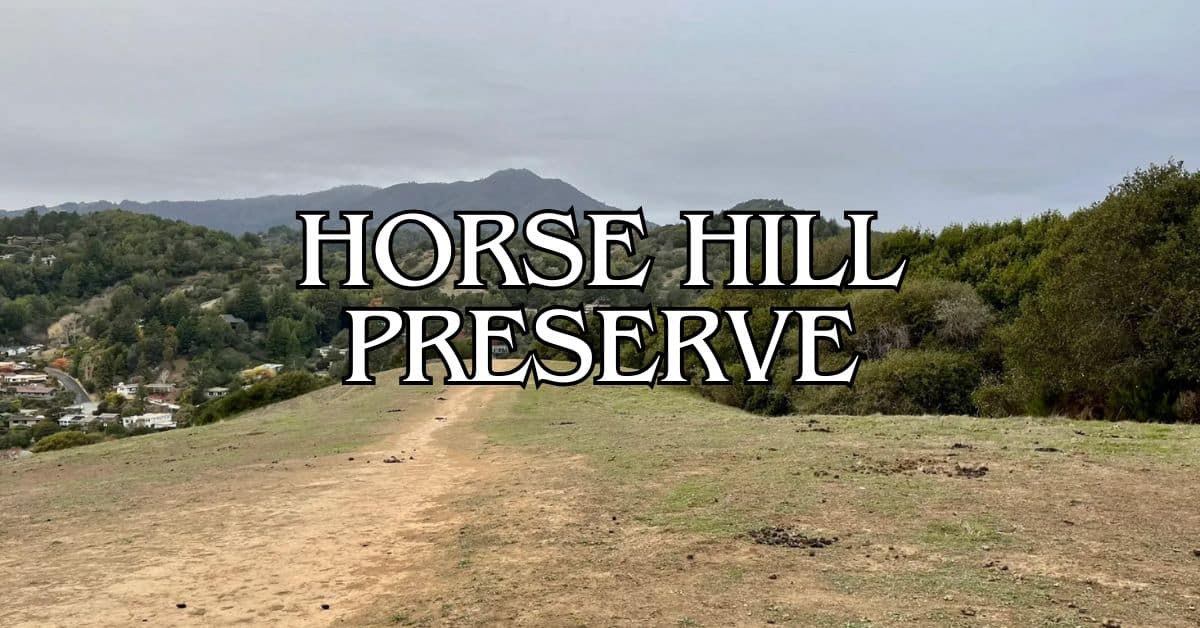 Horse Hill Preserve