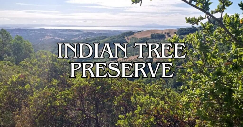 Indian Tree Preserve