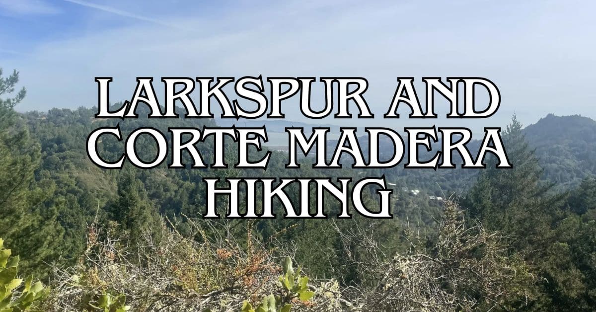 Larkspur and Corte Madera Hiking