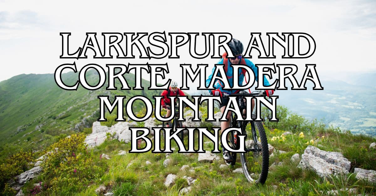 Larkspur and Corte Madera Mountain Biking