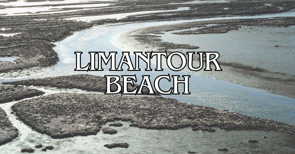 Limantour Beach