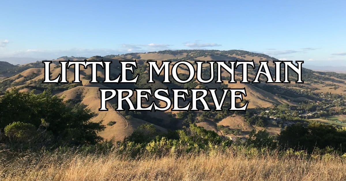 Little Mountain Preserve