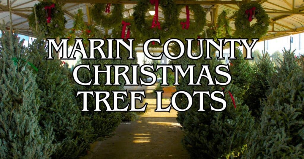 Marin County Christmas Tree Lots