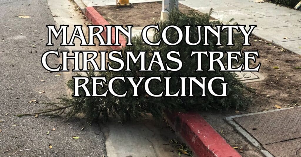 Marin County Christmas Tree Recycling