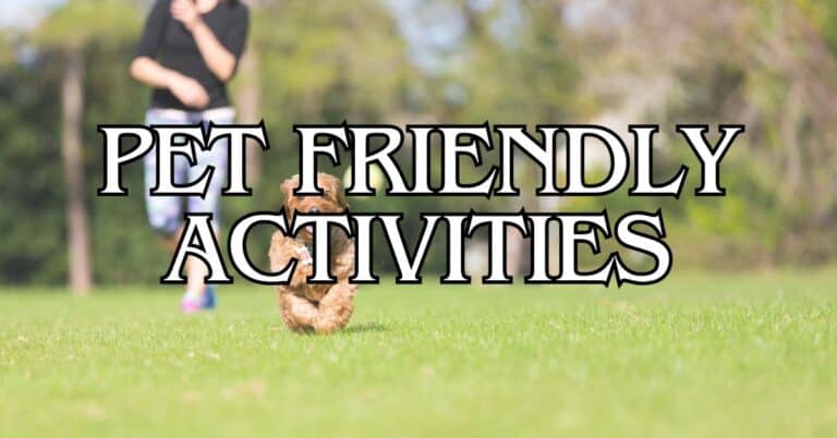 Marin County Pet Friendly Activities