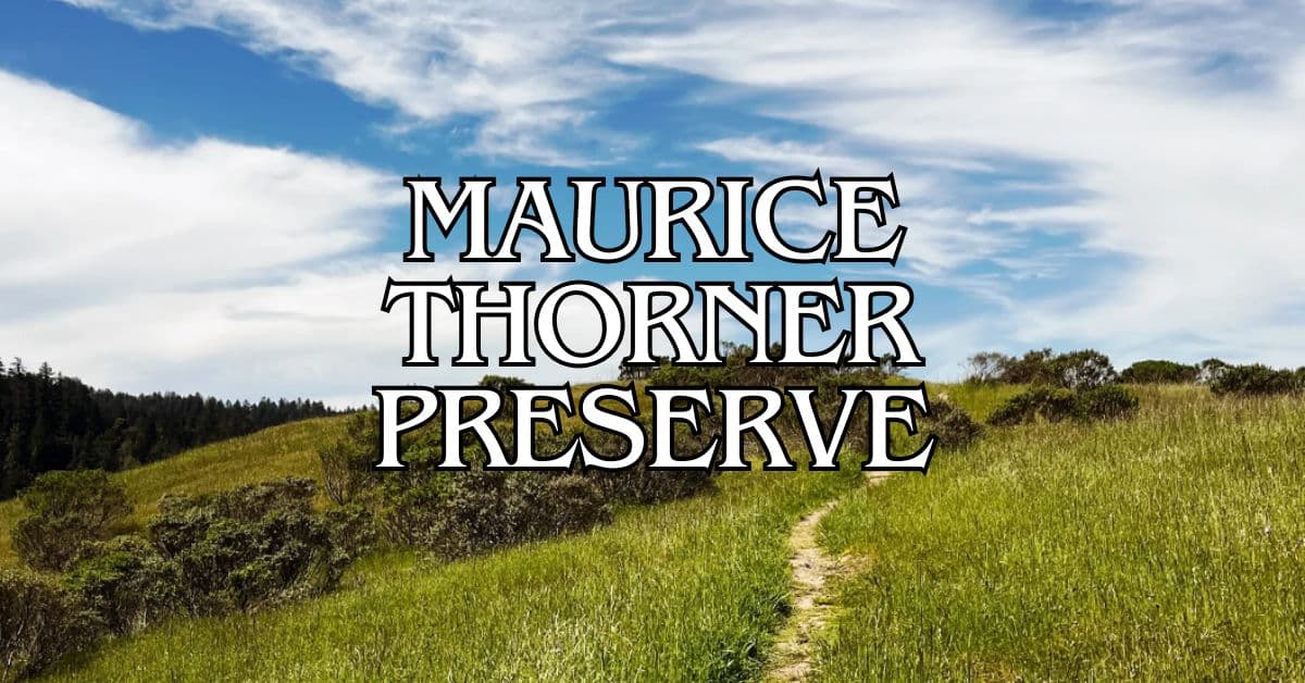 Maurice Thorner Preserve