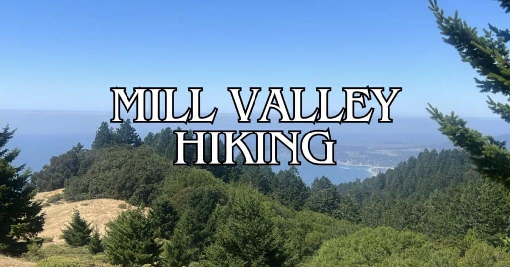 Mill Valley Hiking