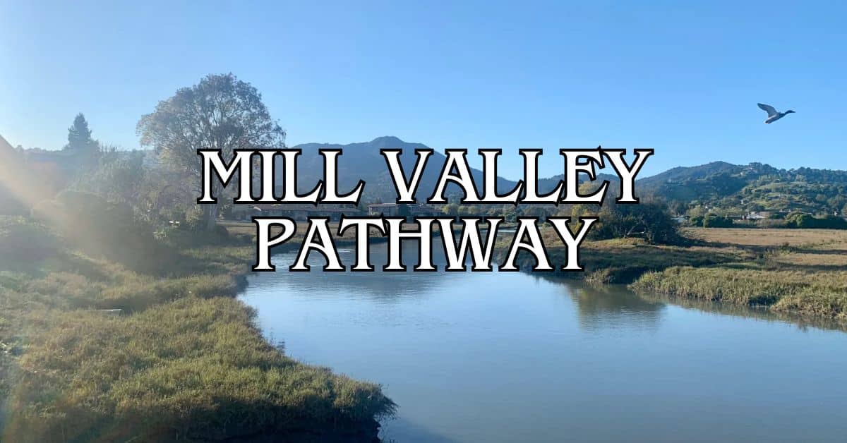 Mill Valley Sausalito Pathway