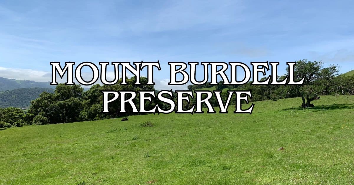 Mount Burdell Preserve