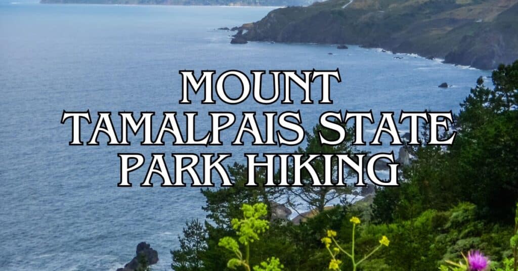 Mount Tamalpais State Park Hiking