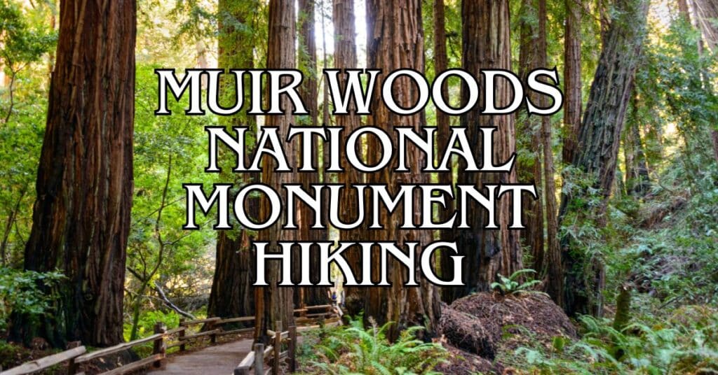 Muir Woods National Monument Hiking