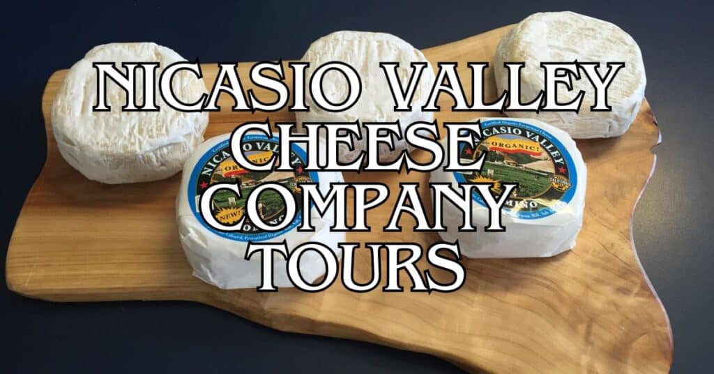 Nicasio Valley Cheese Company Tours