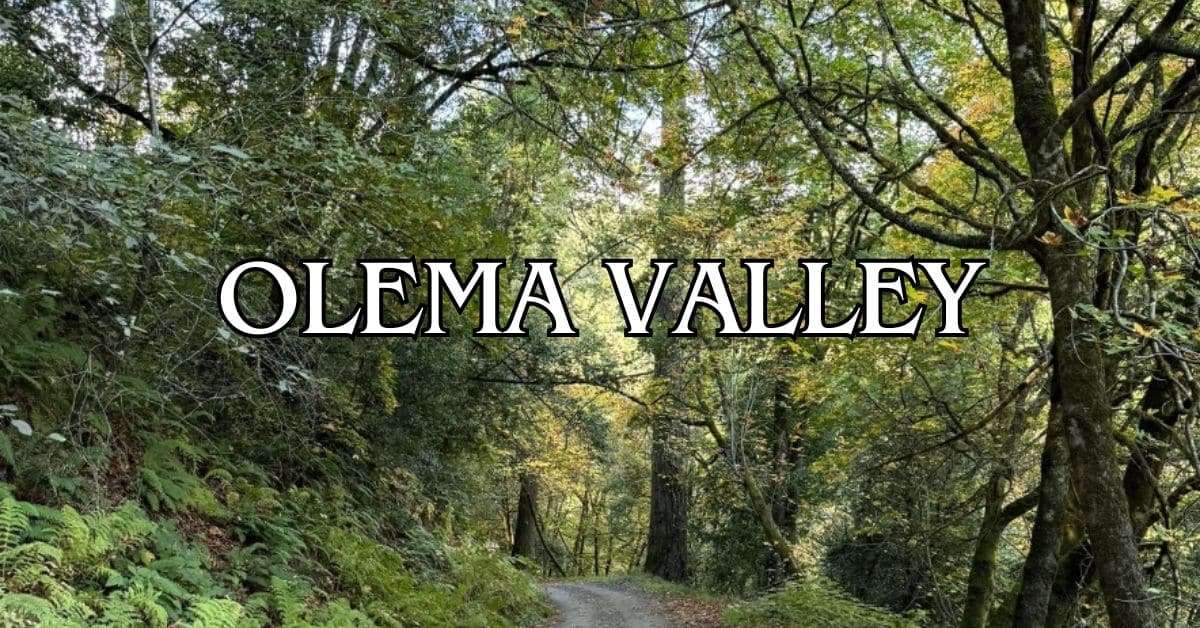 Olema Valley