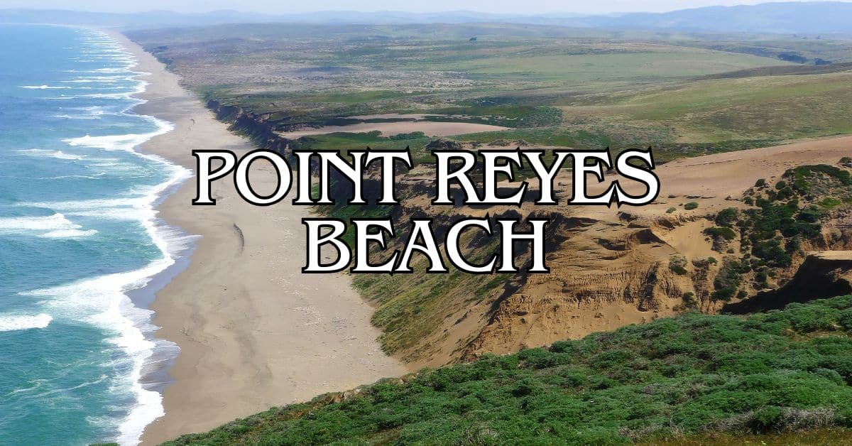 Point Reyes Beach