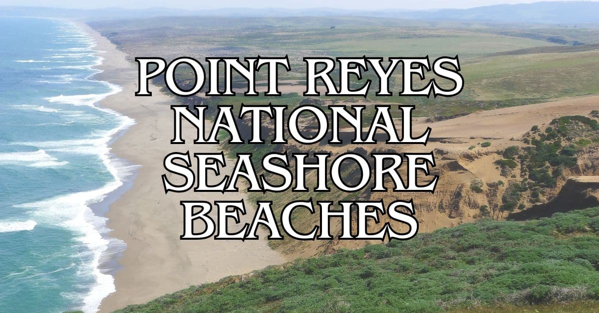 Point Reyes National Seashore Beaches