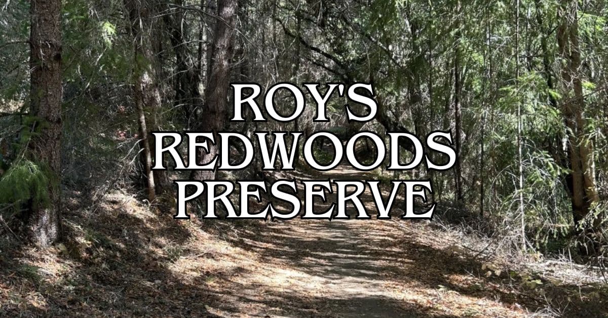 Roy's Redwoods Preserve