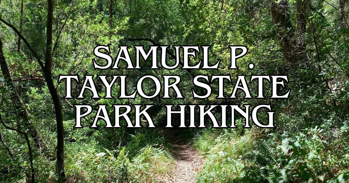 Samuel P. Taylor State Park Hiking