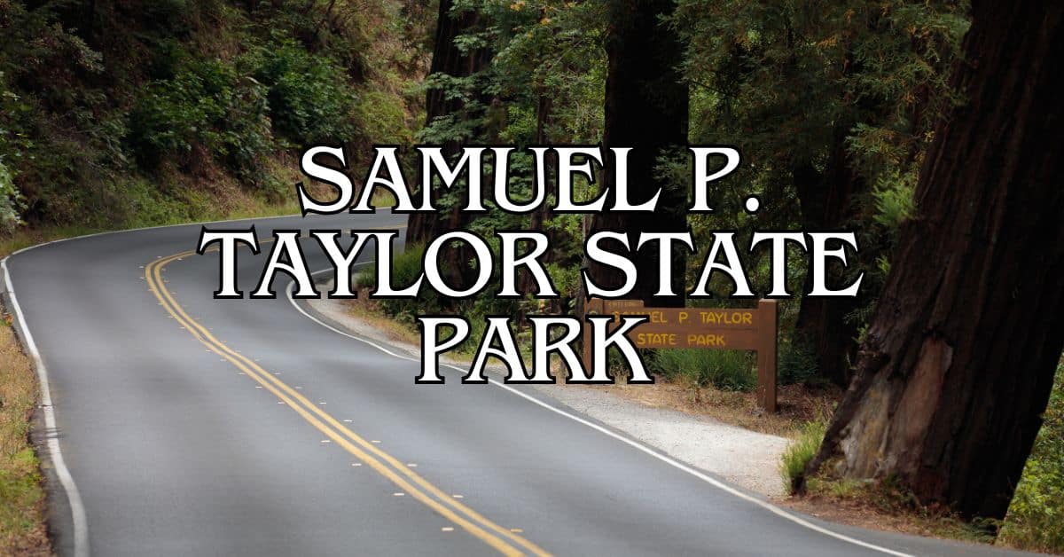 Samuel P. Taylor State Park