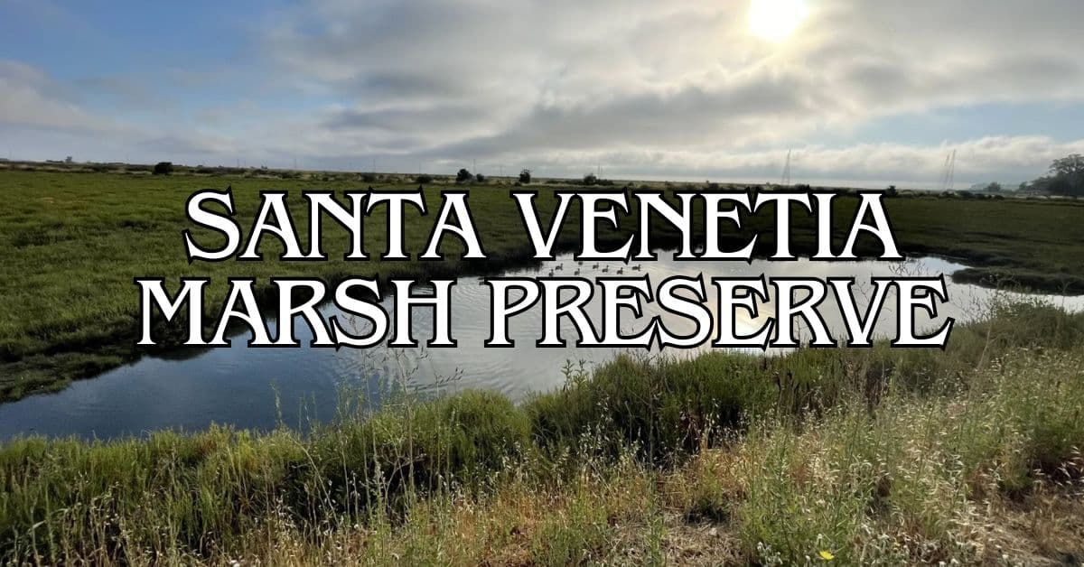 Santa Venetia Marsh Preserve