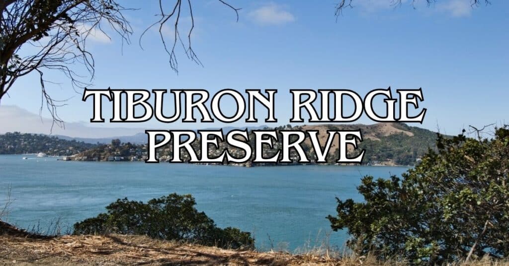 Tiburon Ridge Preserve