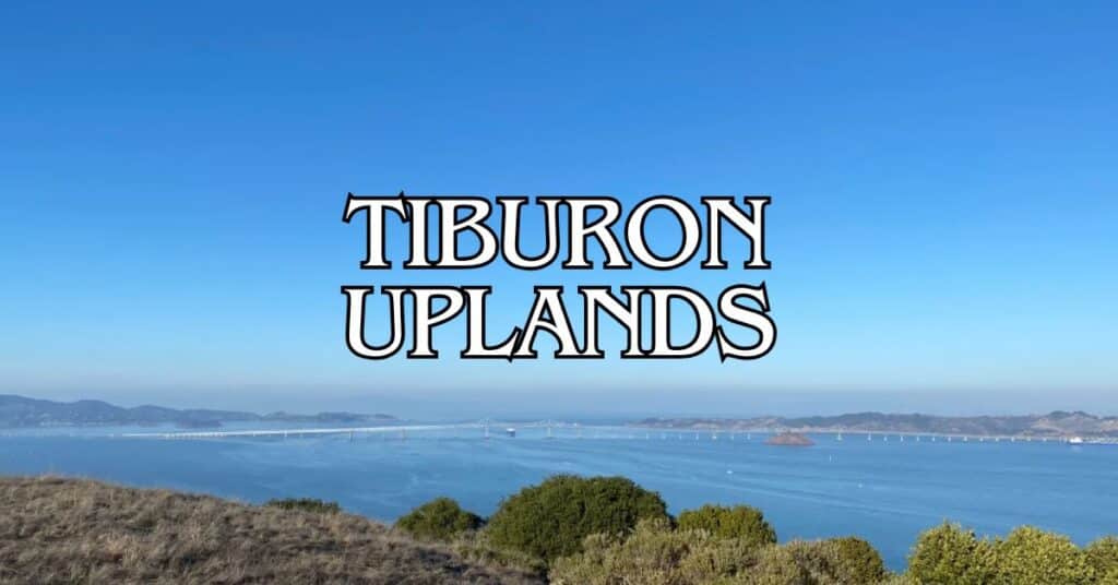 Tiburon Uplands