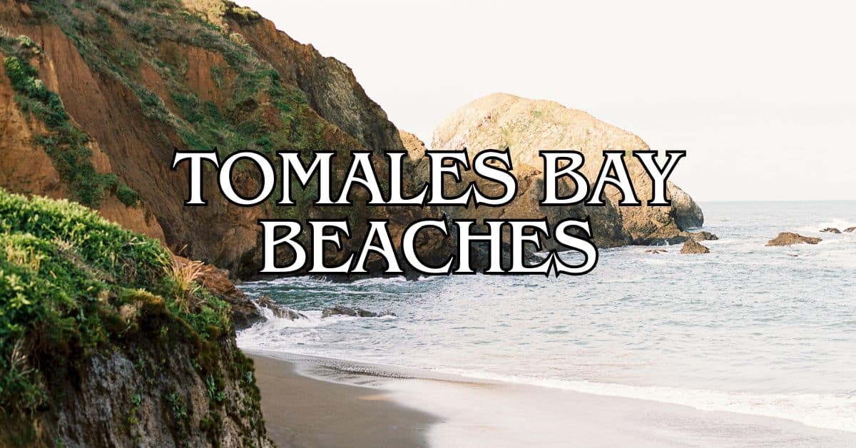 Tomales Bay Beaches