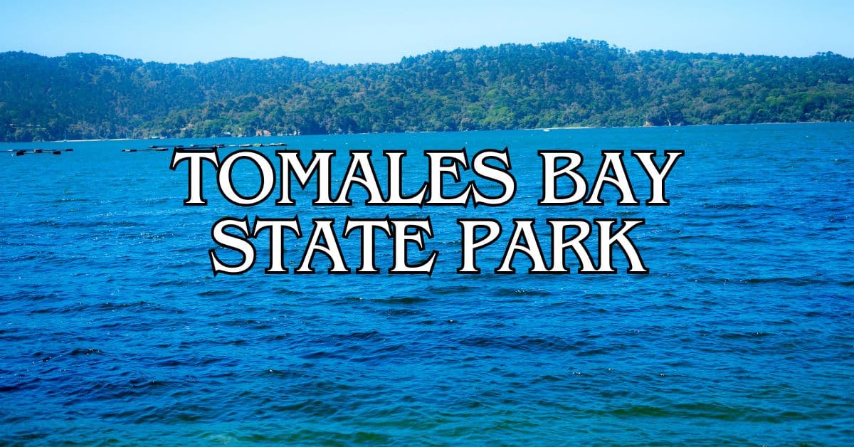 Tomales Bay State Park