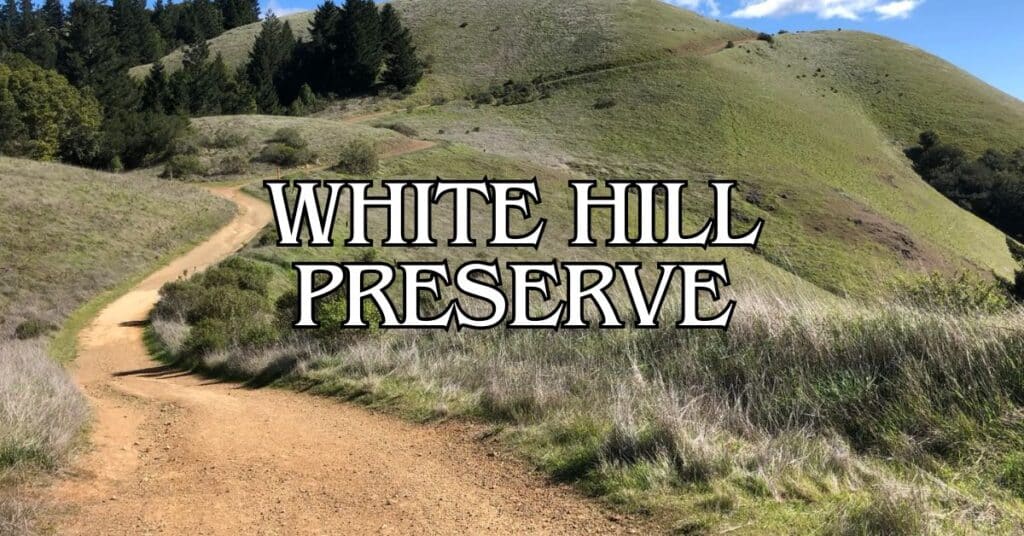 White Hill Preserve