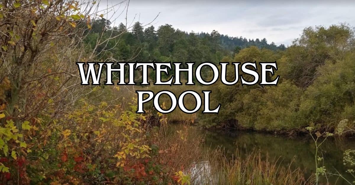 Whitehouse Pool