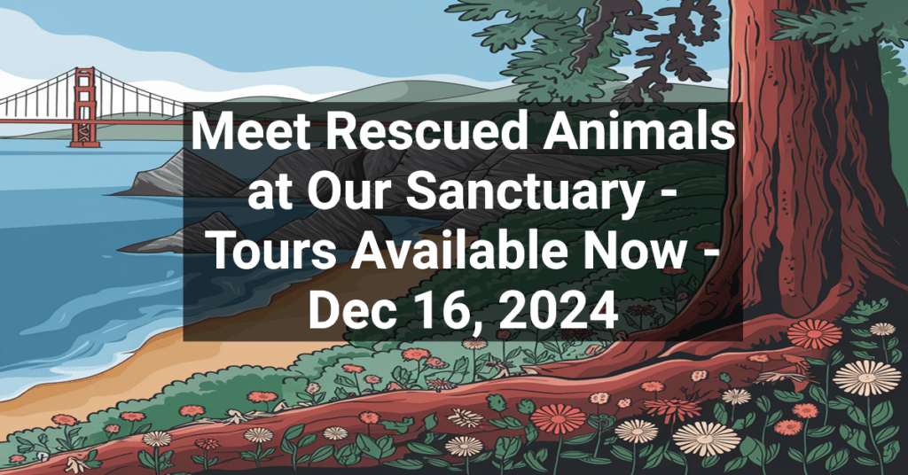 Meet Rescued Animals at Our Sanctuary - Tours Available Now - Dec 16, 2024