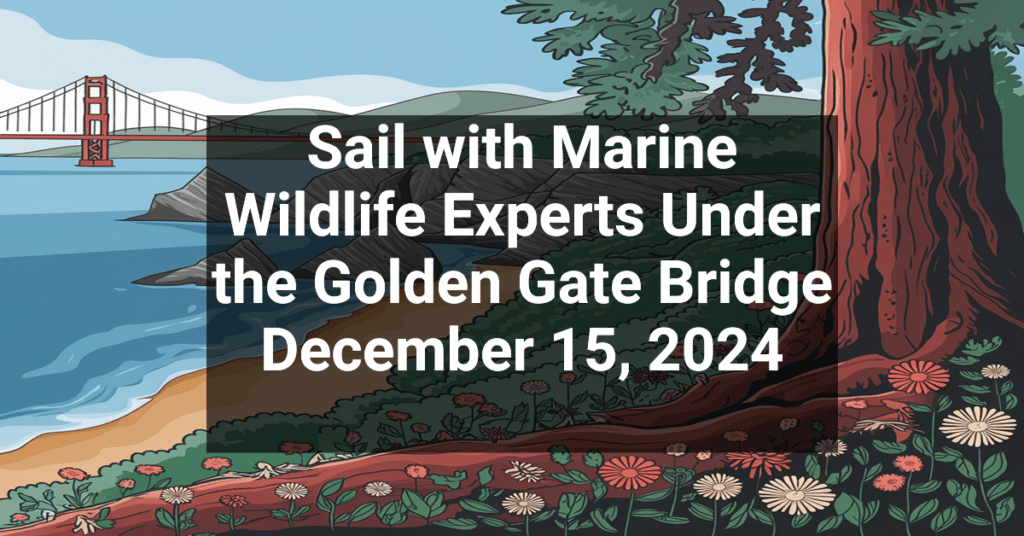 Sail with Marine Wildlife Experts Under the Golden Gate Bridge December 15, 2024